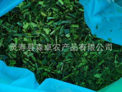 玉米黄储玉米青储草料 马牛羊饲料 马牛羊草料 玉米黄储 玉米青储图2