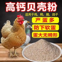 高钙贝壳粉鸡鸭鹅 等禽畜饲料添加贝壳粉 原贝壳粉