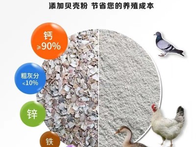 高钙贝壳粉鸡鸭鹅 等禽畜饲料添加贝壳粉 原贝壳粉图3