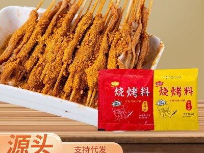 烧烤料调料撒料调味料香辣粉孜然粉刷料烤肉炸串酱料餐饮蘸料图3