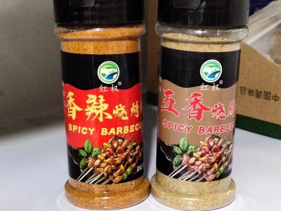 香辣五香烧烤调料撒料家用炸串刷料酱腌料蘸料烧烤料香辣烤肉佐料图3