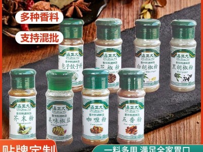 调味粉家用餐饮饭店用撒料火锅烤肉烧烤炒菜家庭瓶装组合调味粉图3