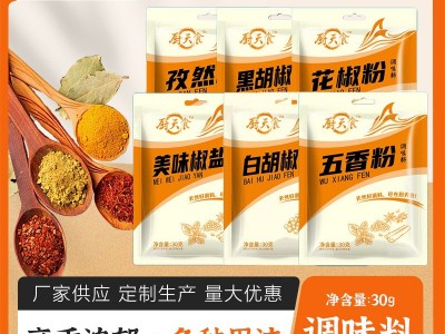组合调味料家用炸货撒料餐饮烤肉蘸料调味椒盐五香粉胡椒粉花椒粉图1