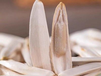 新疆阿克苏正品马牙瓜子牙签原味瓜子尖下巴特产寻葵月牙象牙瓜子图4