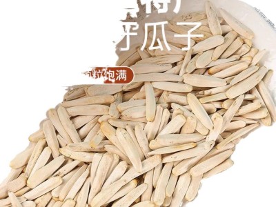 新疆阿克苏正品马牙瓜子牙签原味瓜子尖下巴特产寻葵月牙象牙瓜子图5