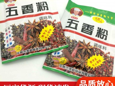 花椒粉胡椒粉生姜粉孜然粉袋装30克炒菜佐料烧烤调味料包大全图3