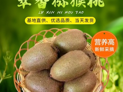 陕西翠香猕猴桃当季新鲜孕妇水果正宗弥猴桃奇异果批发大果礼盒装图1