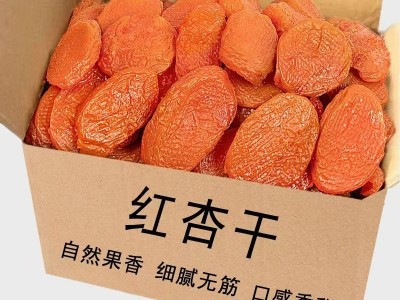 去核红杏干新疆特产酸甜杏脯干代发批发100g 袋装软糯无核杏干图4