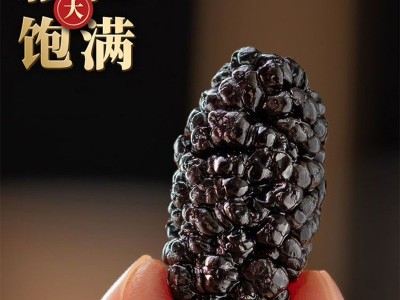 严选四川黑桑葚干无沙新货椹子干批发250g 大颗粒桑葚泡水滋补桑图2