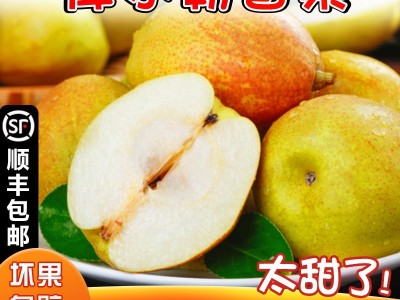 正宗新疆库尔勒香梨新鲜应季水果整箱9斤大果全母梨梨子顺丰包邮图3