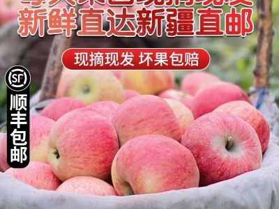 正宗新疆阿克苏早熟红富士苹果应季新鲜水果冰糖心早期丑苹果整箱图4
