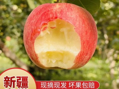 正宗新疆阿克苏早熟红富士苹果应季新鲜水果冰糖心早期丑苹果整箱图3