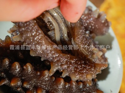 海参工厂即食源头厂家批发霞浦海鲜直供一件代发营养图4