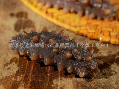 海参工厂即食源头厂家批发霞浦海鲜直供一件代发营养图3