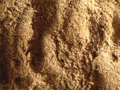 鱼骨粉脱脂鱼粉养殖兽用虾蟹水产饲料蒸汽鱼粉散装鱼排粉厂家批发图2