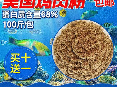 饲料鸡肉粉 蛋白68新鲜度80美国鸡肉粉 家禽水产厂家批发图3