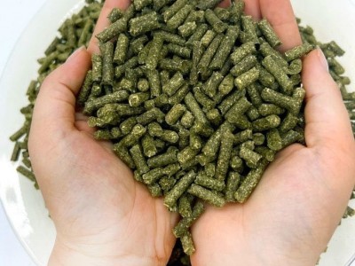 包邮3斤装苜蓿草颗粒兔粮优质主粮颗粒豚鼠荷兰猪龙猫幼宠物饲料图5