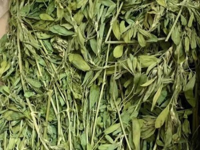 包邮3斤装苜蓿草颗粒兔粮优质主粮颗粒豚鼠荷兰猪龙猫幼宠物饲料图4