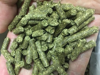 紫花苜蓿草颗粒饲料牧草颗粒牛羊马兔粮优质饲料牧草草料批发定制图3
