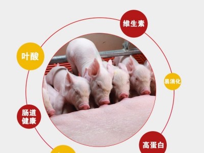 4%哺乳母猪预混料母猪饲料哺乳期母猪快速下奶催乳催奶厂家直销图2