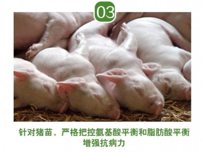 8%乳猪预混料 买十送一 一袋配料500斤 高性价比 不易腹泻图4