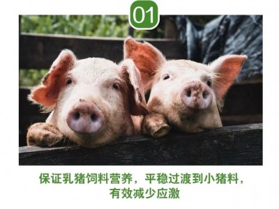 8%乳猪预混料 买十送一 一袋配料500斤 高性价比 不易腹泻图2