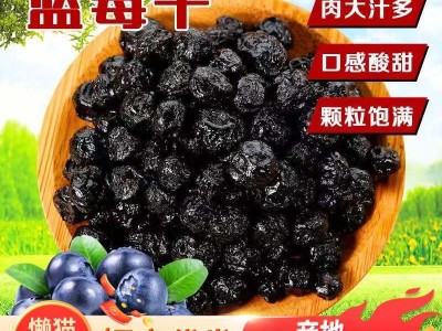 蓝莓干长白山无糖精无添加剂蓝梅果干小包装500g即食零食东北特产图2