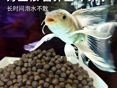 渔久观赏鱼饲料高蛋白蝴蝶鲤专用饲料上浮型增白金鱼小颗粒观赏鱼图3