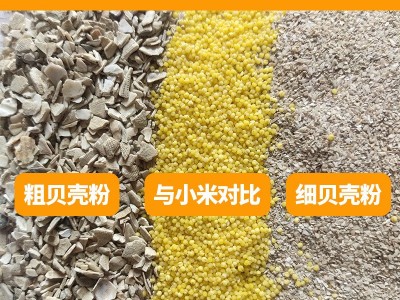 贝壳粉鸡用芦丁鸡鸭鹅鸽子信鸽鹌鹑兽用牡蛎粉钙粉饲料贝壳粉图3