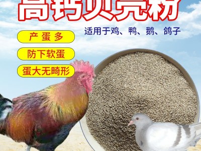 贝壳粉鸡用芦丁鸡鸭鹅鸽子信鸽鹌鹑兽用牡蛎粉钙粉饲料贝壳粉图2