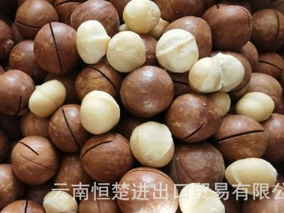 云南恒楚夏威夷果,坚果,原料未开口,未入味,通货22-28图3