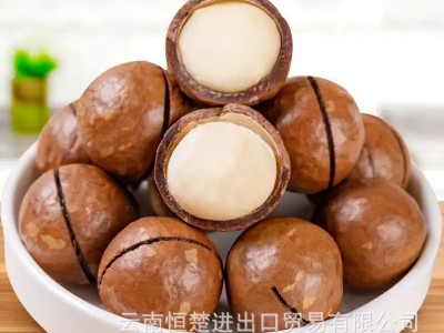 云南恒楚烤夏威夷果20-22MM,中果,坚果,各种风味出口,各种尺寸图4