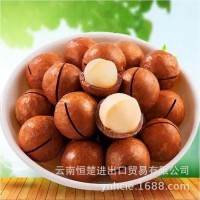 云南恒楚烤夏威夷果22-25MM,大果,坚果,各种风味出口,各种尺寸