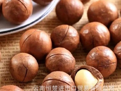 云南恒楚烤夏威夷果22-25MM,大果,坚果,各种风味出口,各种尺寸图4
