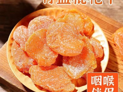 竹盐枇杷干【代发】500克水果干无核原味枇杷果干零食蜜饯果脯图4