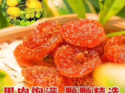 刺梨干250g 贵州土特产功效零食果脯非野生年货小零食酸甜果脯图3