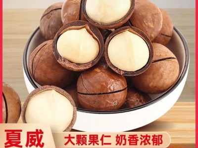 新货夏威夷果奶油味坚果干果孕妇休闲零食500g代发大果薄皮图2