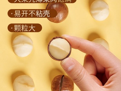 新货夏威夷果奶油味坚果干果孕妇休闲零食500g代发大果薄皮图3