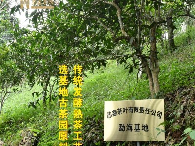 普洱茶熟茶饼陈韵勐海古树十年熟普洱特级茶叶礼盒装送礼批发图2