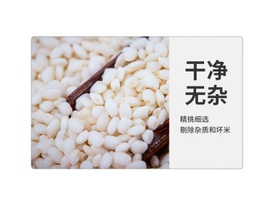 【单品包邮】赤川糯米2.5kg东北圆糯米江米粽子米黏米糯米酒原料图4