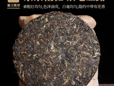 普洱茶生茶普洱茶饼布朗山茶霸王班章普洱陈年普洱生茶古茶树厂家图2