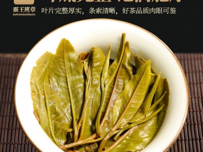 普洱茶生茶普洱茶饼布朗山茶霸王班章普洱陈年普洱生茶古茶树厂家图4