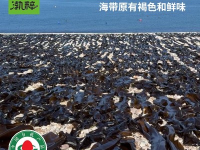 定制有机干海带板干货批发晒干500g袋装商用无沙海带丝片煲汤凉拌图3