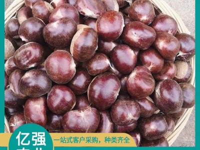 新鲜老树板栗 放心选择 有浅薄蜡质层 内皮易剥 亿强图2