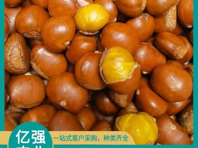 新鲜老树板栗 放心选择 有浅薄蜡质层 内皮易剥 亿强图4