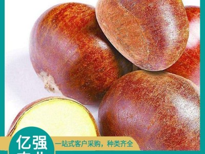 生板栗 呈红褐色 有浅薄蜡质层 黄金种植区 亿强图2