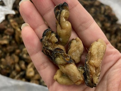 不抽油生蚝干牡蛎干 海蛎干生晒蚝肉 海蚝干淡晒生蚝干煲粥批发一图5