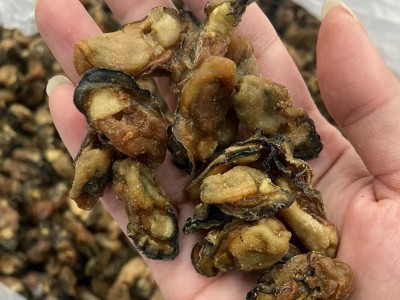 不抽油生蚝干牡蛎干 海蛎干生晒蚝肉 海蚝干淡晒生蚝干煲粥批发一图3