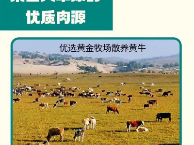 正宗内蒙古牛肉干手撕风干牛肉一斤炭烤牛肉干工厂价零食图4