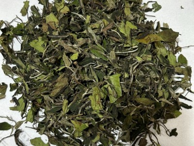 福鼎白茶2024春寿眉散茶支持各规格包装定制礼盒定制清香礼品图4